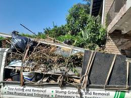 Best Dumpster Rental Services  in Federalsburg, MD